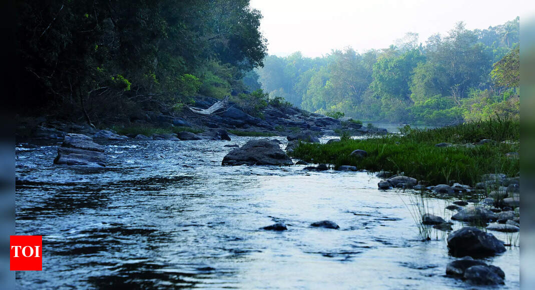 Mhadei diversion: State to move SC for joint inspection