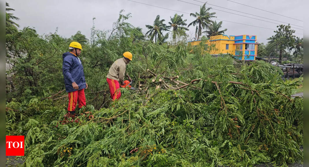 Possible cyclonic storm may impact Odisha and Andhra Pradesh: IMD forecast