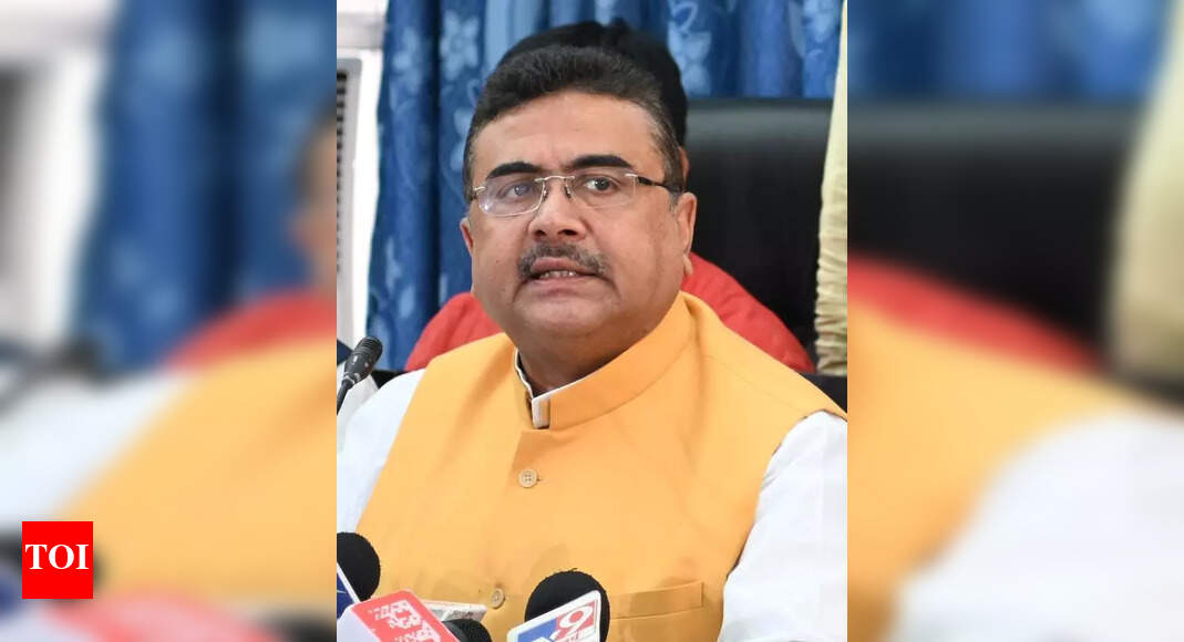 The Times of India - Politics - News Image