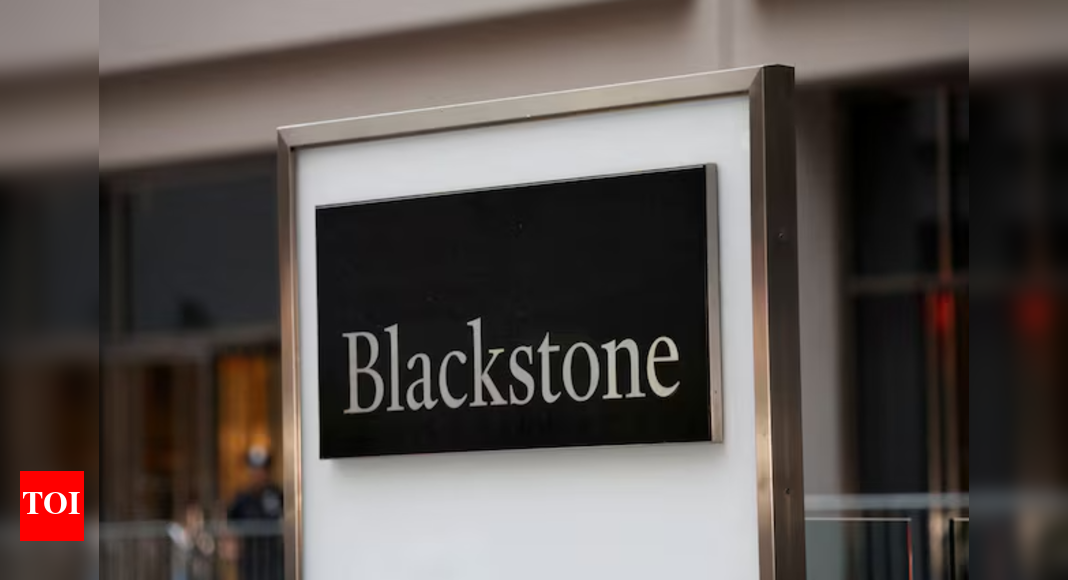US fund buys $400mn stake in insurance broker Ace