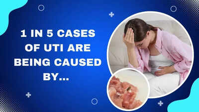 Nearly 1 in 5 UTIs linked to contaminated meat, claims US study | Nearly 1 in 5 UTIs linked to contaminated meat, claims US study |