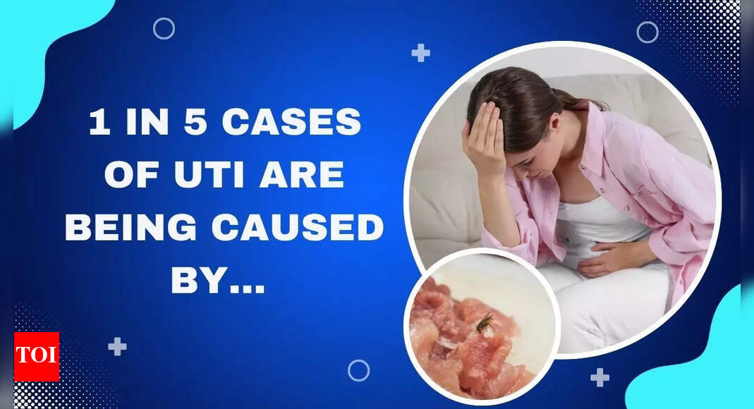 Nearly 1 in 5 UTIs linked to contaminated meat, claims US study
