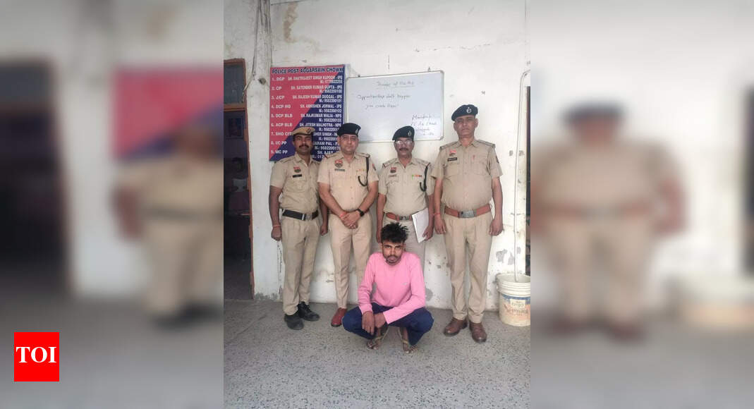 Faridabad shocker: Stepfather arrested for killing 3-year-old; dumps body in bushes