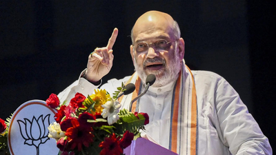 Amit Shah 'Sau chuhe kha kar, billi haj ko chali': Amit Shah mocks Tejashwi over crime remarks; hits out at Rahul Gandhi's 'Ghuspetiya Bachao Yatra'