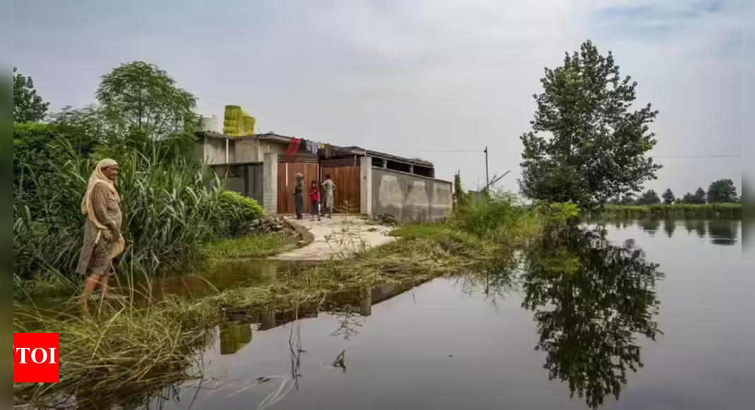 'Allot land to people who lost land in Punjab floods'