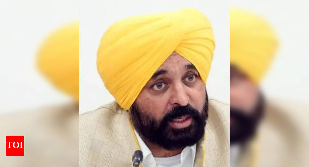 The Times of India - Politics - News Image