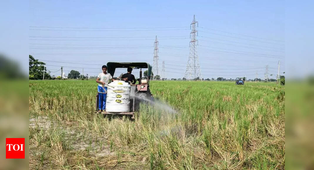 The Times of India - Other - News Image