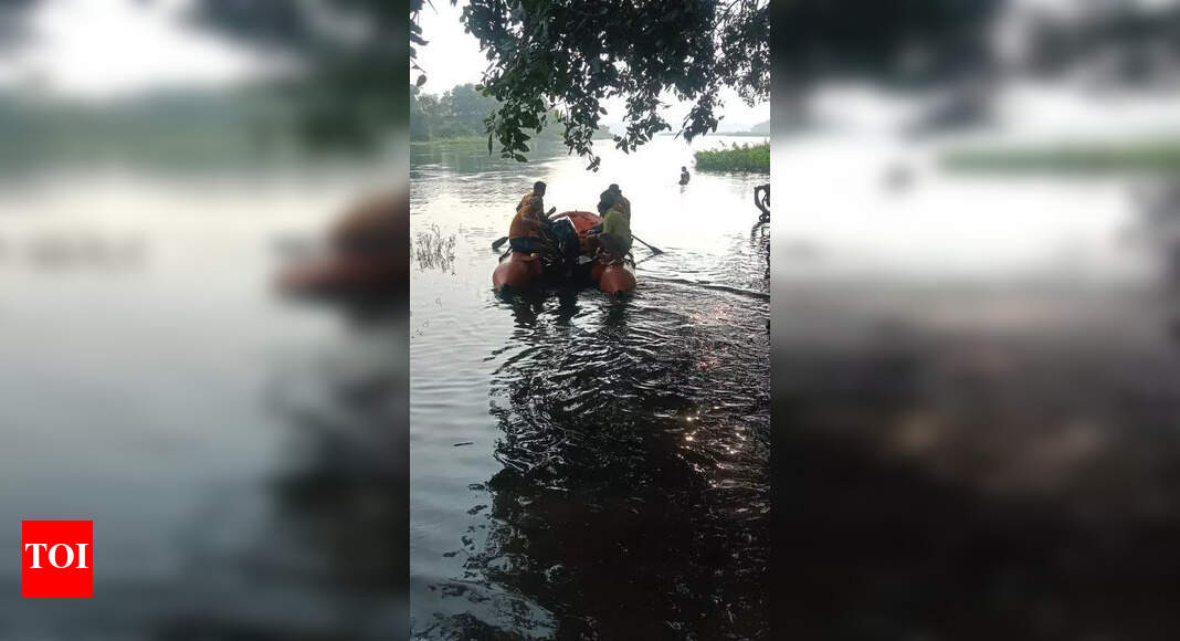 The Times of India - Other - News Image