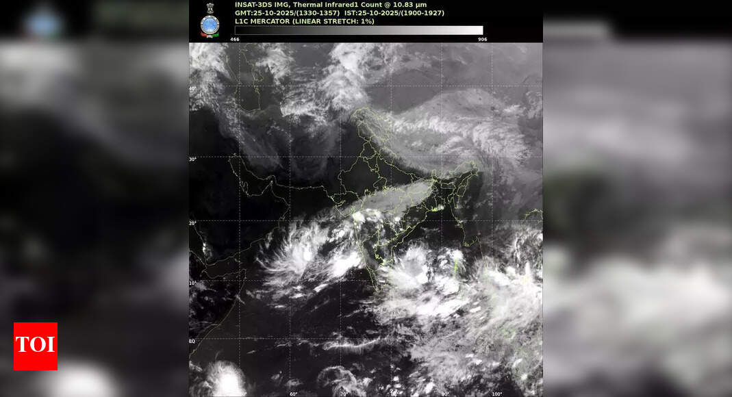 The Times of India - Business - News Image