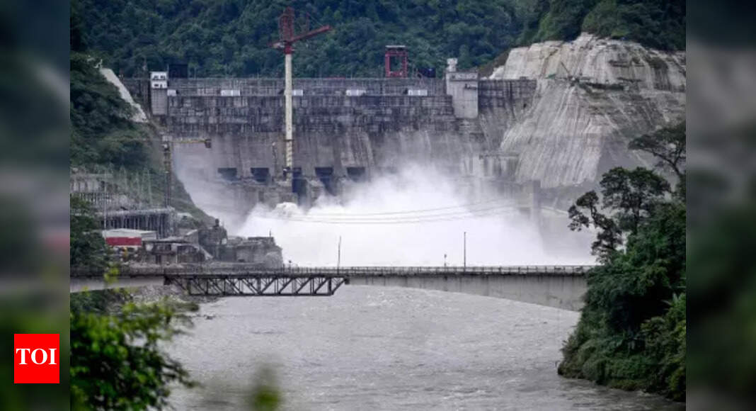 After 13-yr delay, Subansiri Lower hydel project begins ops