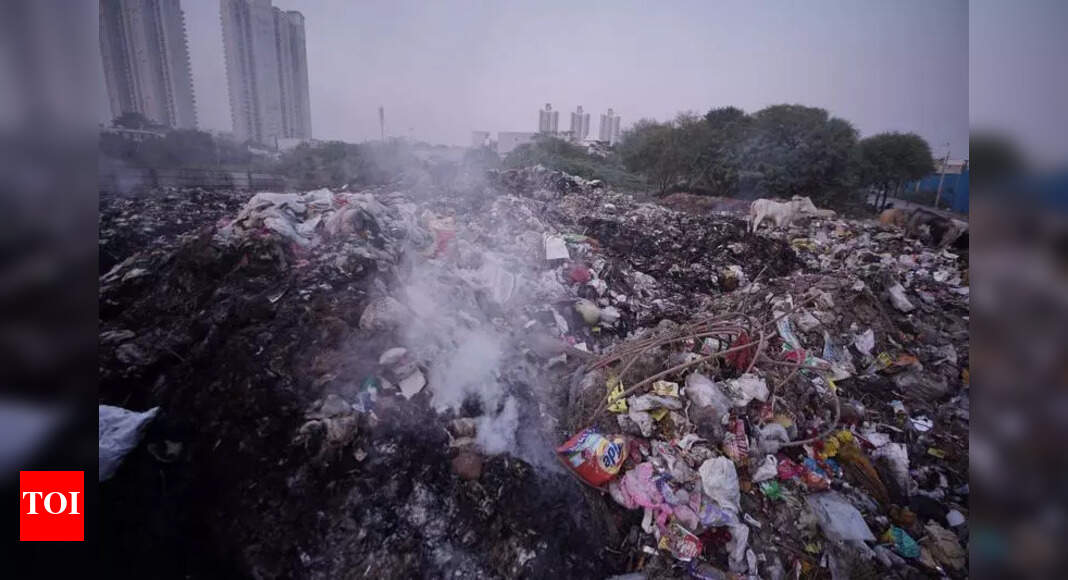 The Times of India - Environment - News Image