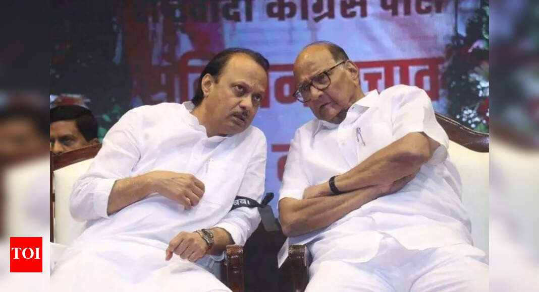 The Times of India - Politics - News Image