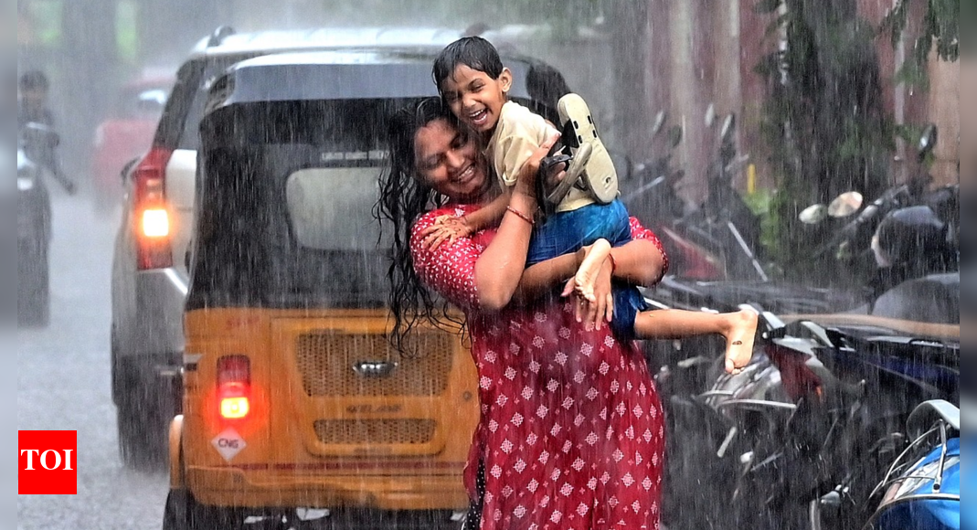 Cyclone Montha: Chennai, two other districts likely to get heavy rain on Monday