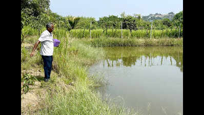 On khazan land, Merces farmersets up system to grow rohu, catla