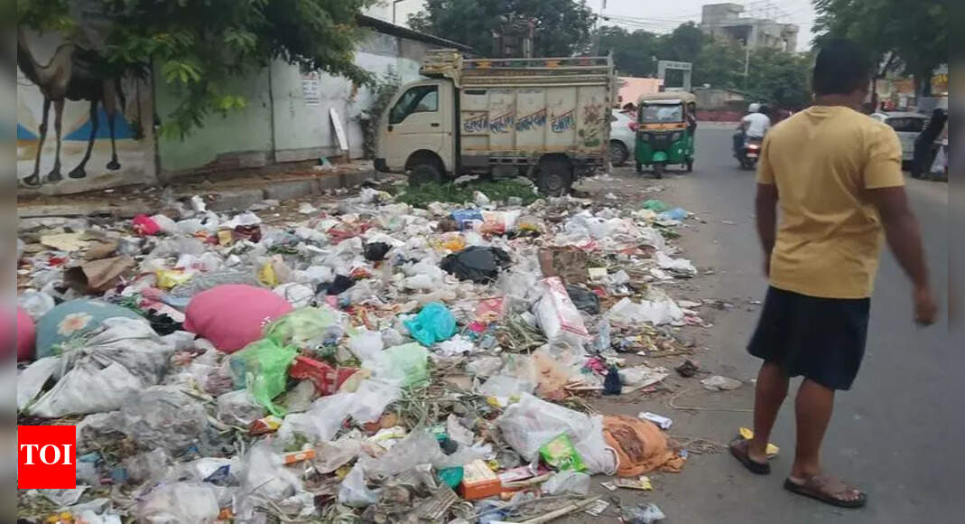 The Times of India - Environment - News Image