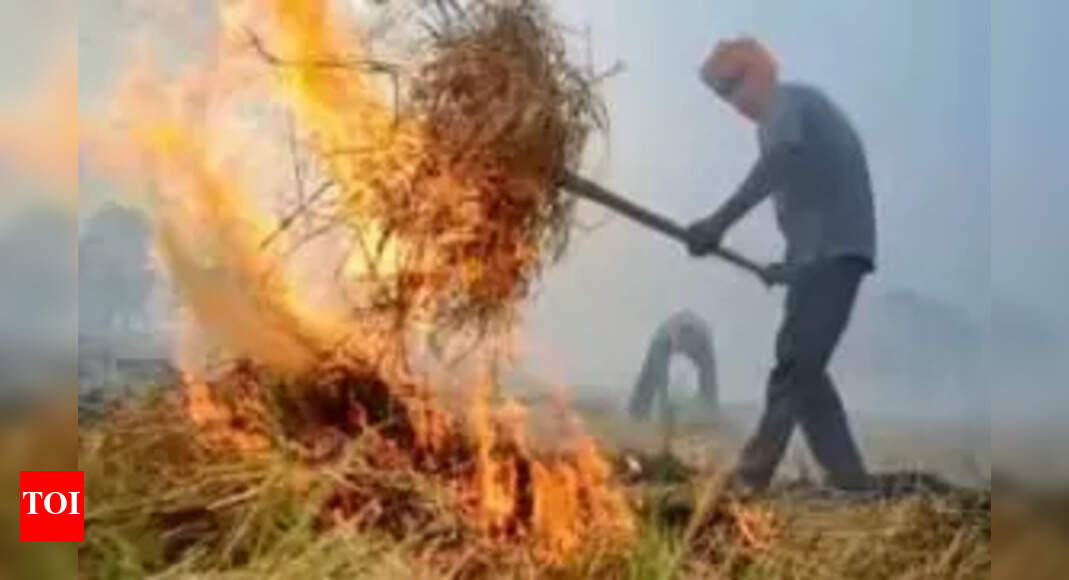 The Times of India - Politics - News Image