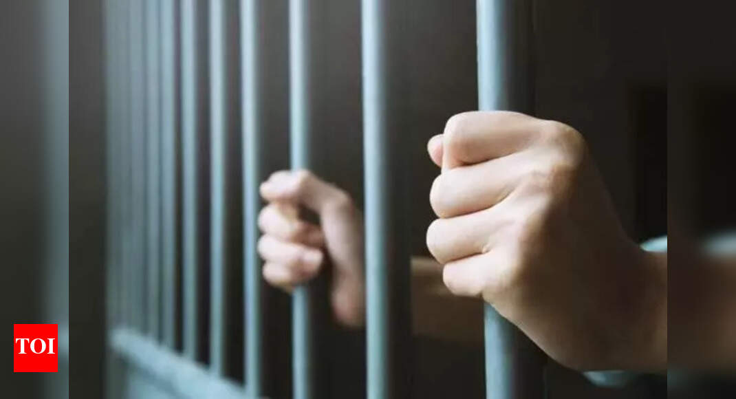 The Times of India - Other - News Image