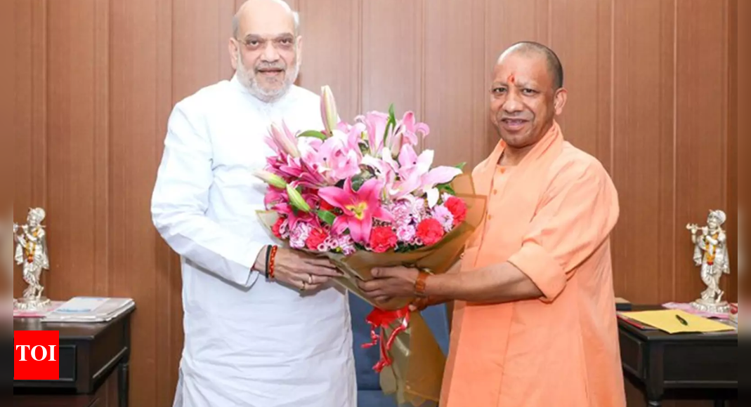 The Times of India - Politics - News Image