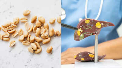 Peanuts can cause liver damage when contaminated with aflatoxins: Know the hidden dangers and prevention tips