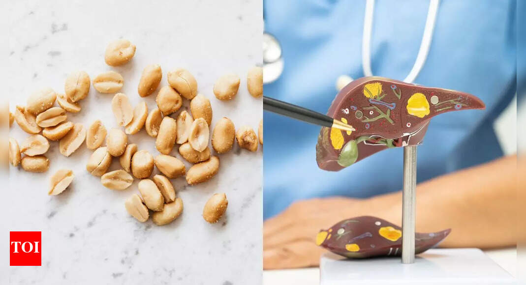 Peanuts can cause liver damage when contaminated with aflatoxins: Know the hidden dangers and prevention tips