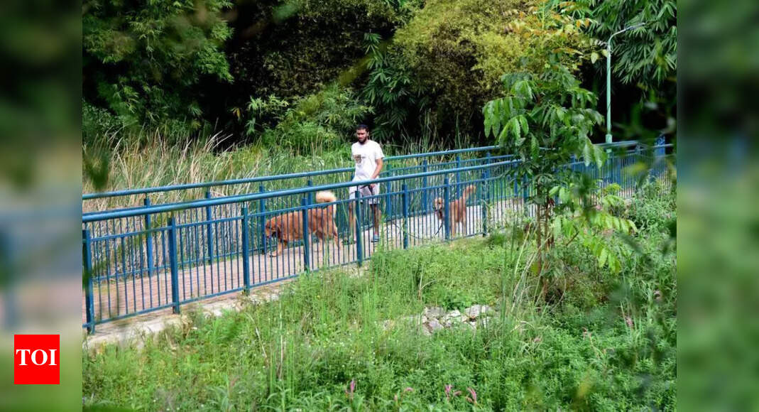 The Times of India - Business - News Image