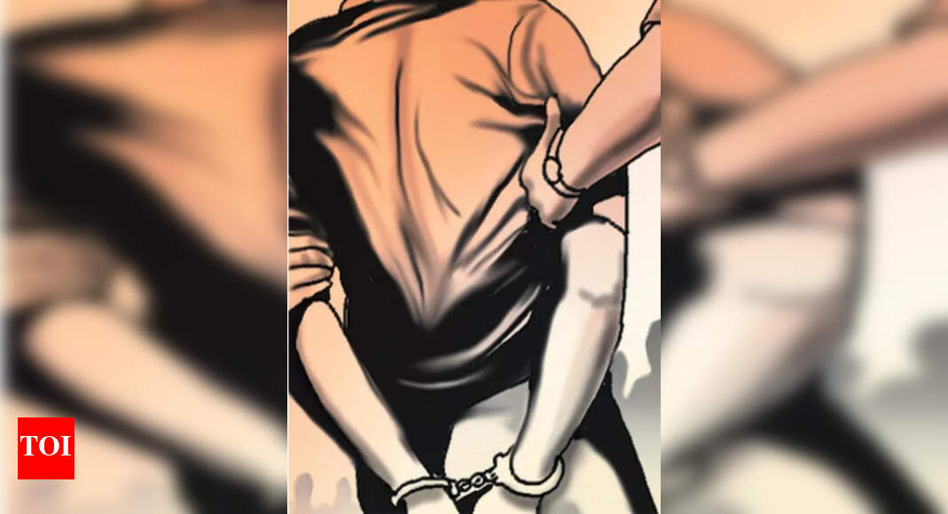 The Times of India - Politics - News Image