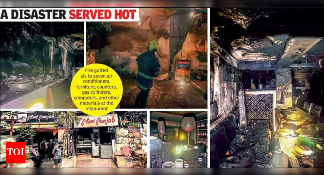 The Times of India - Politics - News Image