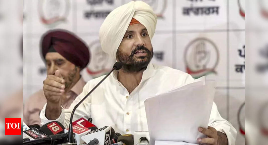 The Times of India - Politics - News Image