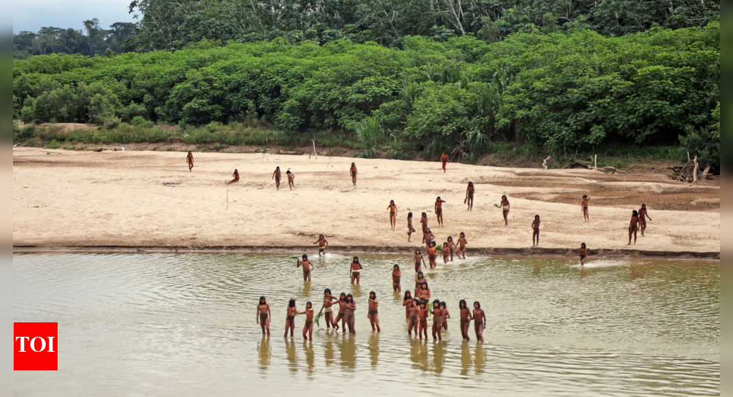 What to know about uncontacted Indigenous peoples and efforts to protect them – The Times of India What to know about uncontacted Indigenous peoples and efforts to protect them – The Times of India
