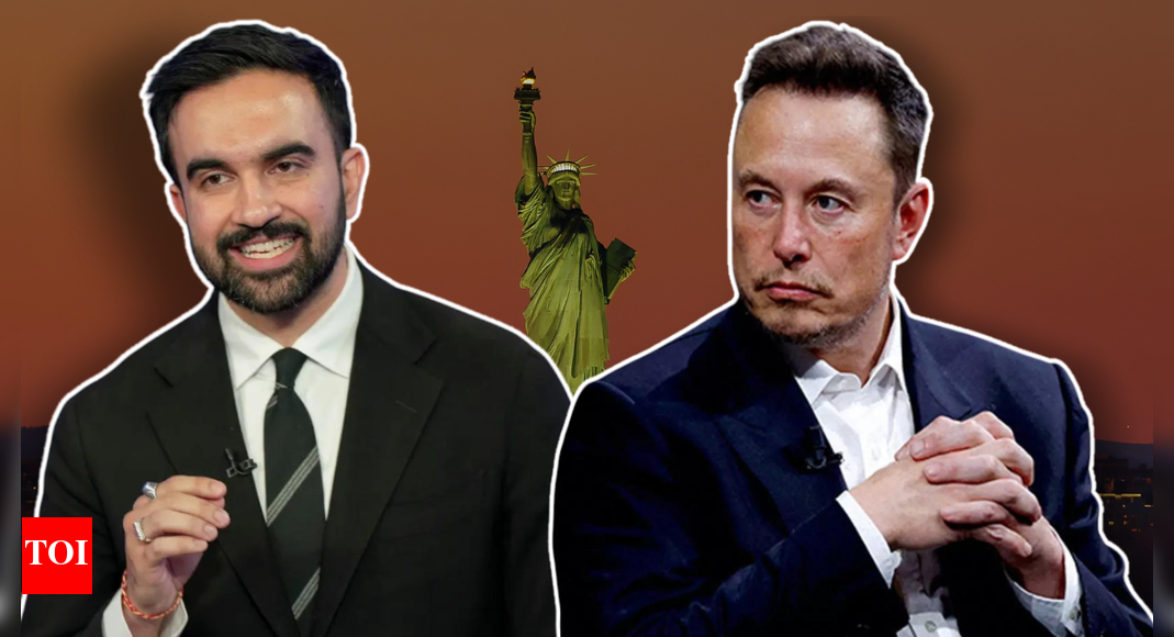 'Future of Democratic Party': Elon Musk taunts Zohran Mamdani; New York Governor endorses the socialist candidate