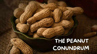 আমেরিকা কি বছরের পর বছর ধরে চিনাবাদামের এলার্জি প্রতিরোধে ভুল করেছে? , – টাইমস অফ ইন্ডিয়া আমেরিকা কি বছরের পর বছর ধরে চিনাবাদামের এলার্জি প্রতিরোধে ভুল করেছে? , – টাইমস অফ ইন্ডিয়া