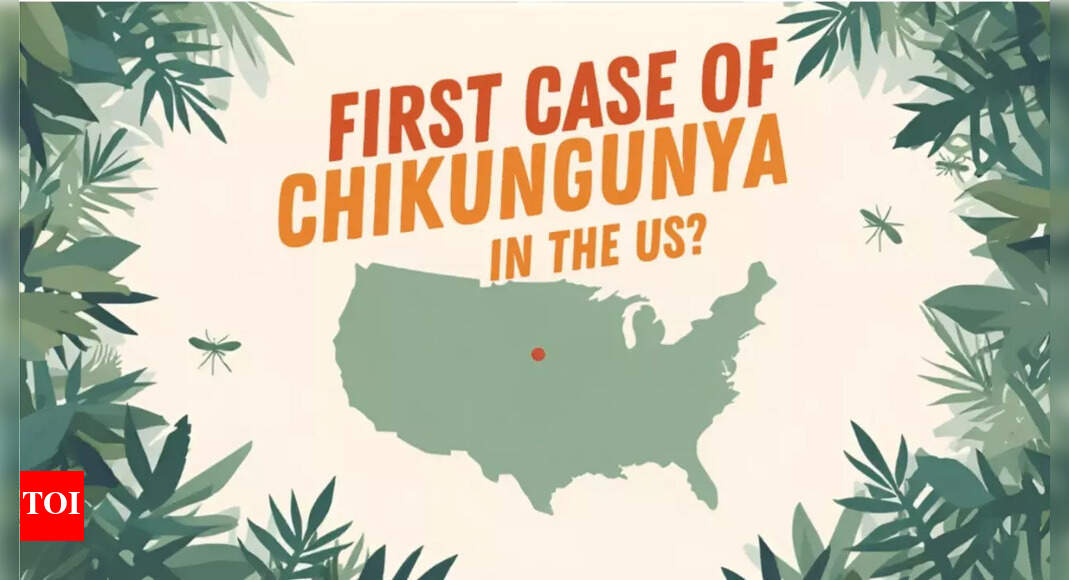 US reports first chikungunya case: 5 tips to protect your family