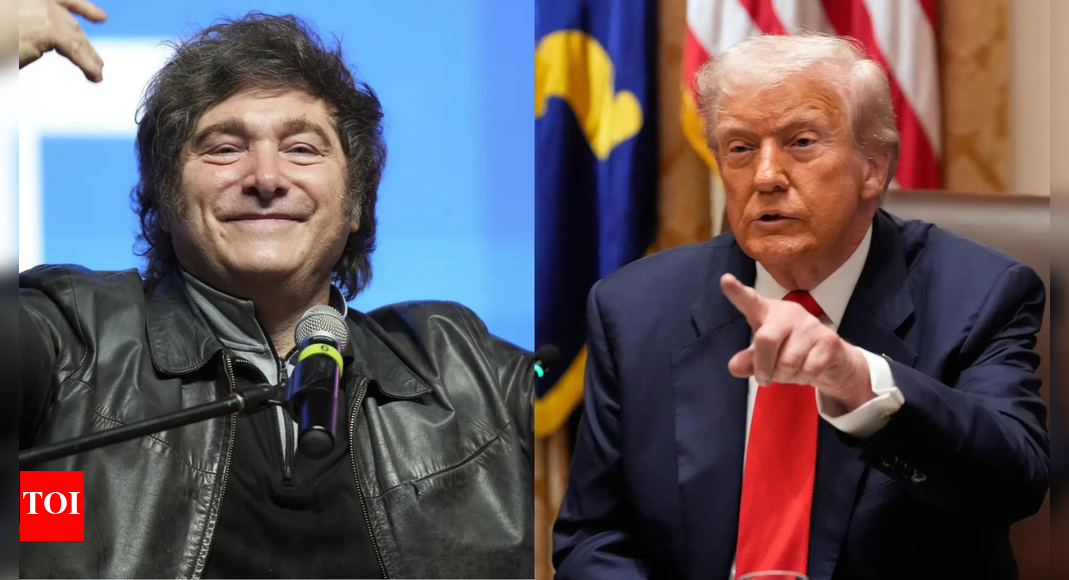 ‘Landslide victory’: Trump ally Javier Milei wins legislative elections; promises to construct a ‘great Argentina’ ‘Landslide victory’: Trump ally Javier Milei wins legislative elections; promises to construct a ‘great Argentina’