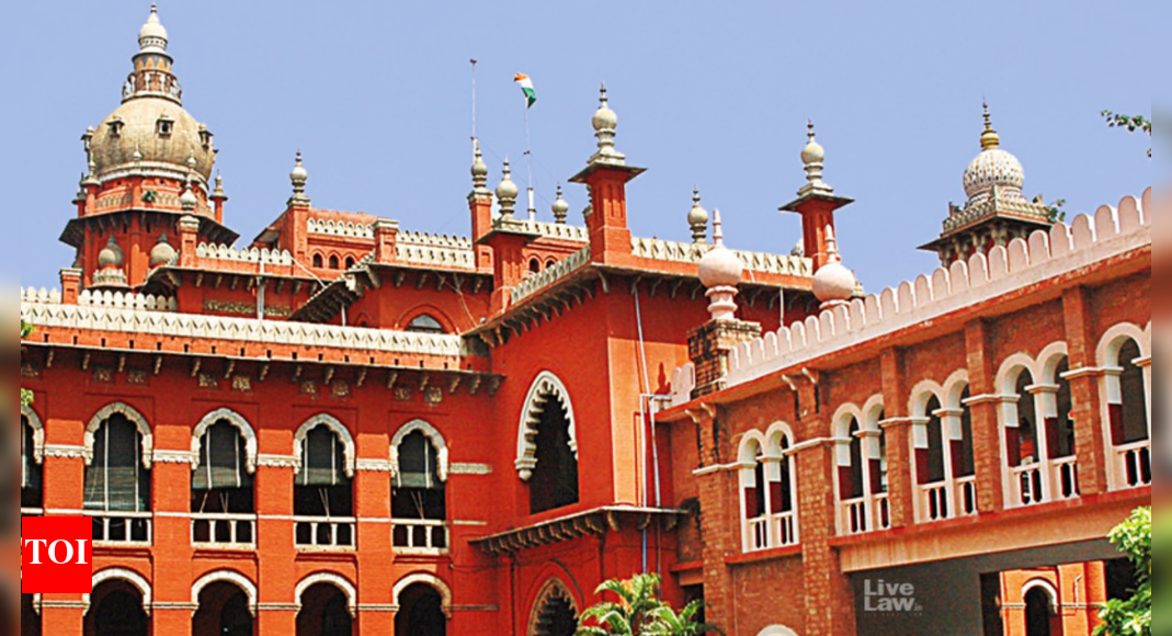 Karur stampede fallout: Madras HC directs Tamil Nadu govt to frame SOP for political events; warns against delay in granting permissions