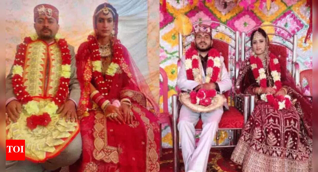 Unique wedding in Himachal Pradesh: Constitution becomes witness, not rituals or priest; brothers redefine tradition