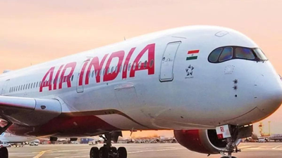 On October 24, 2025, Air India flight AI 315 logbook recorded a cockroach “hanged until death.”/Image: ET Air India cabin log sparks viral buzz over “cockroach execution” mid air