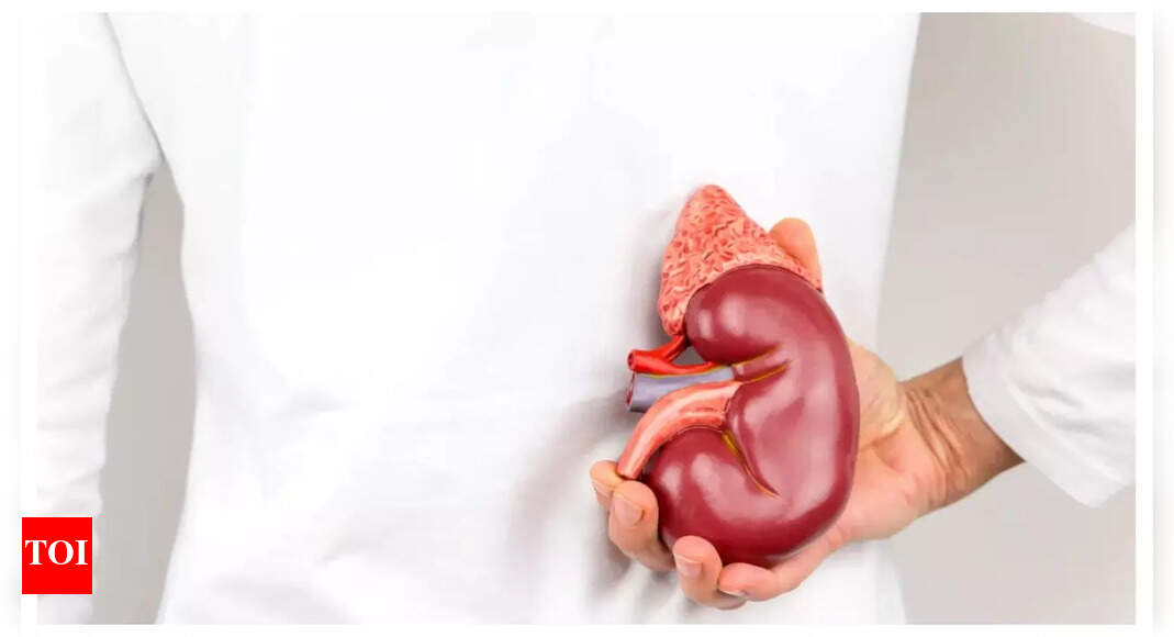 Chronic Kidney Disease: Young and healthy people in Hyderabad are being infected by mysterious Kidney Disease: This is what we know so far |