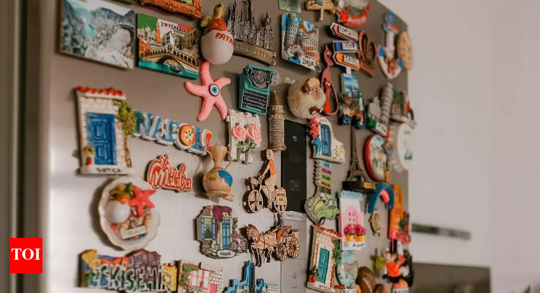 Do fridge magnets really raise your electricity bill? Experts explain the truth