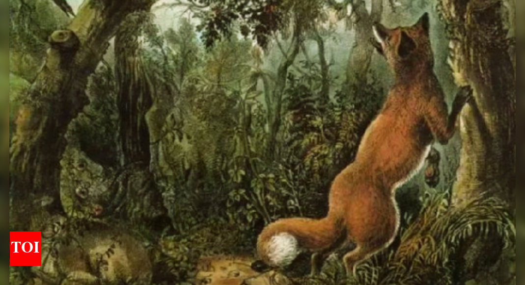 Optical illusion: There is a 'secret animal' hiding with the fox in this pic, can you spot it?