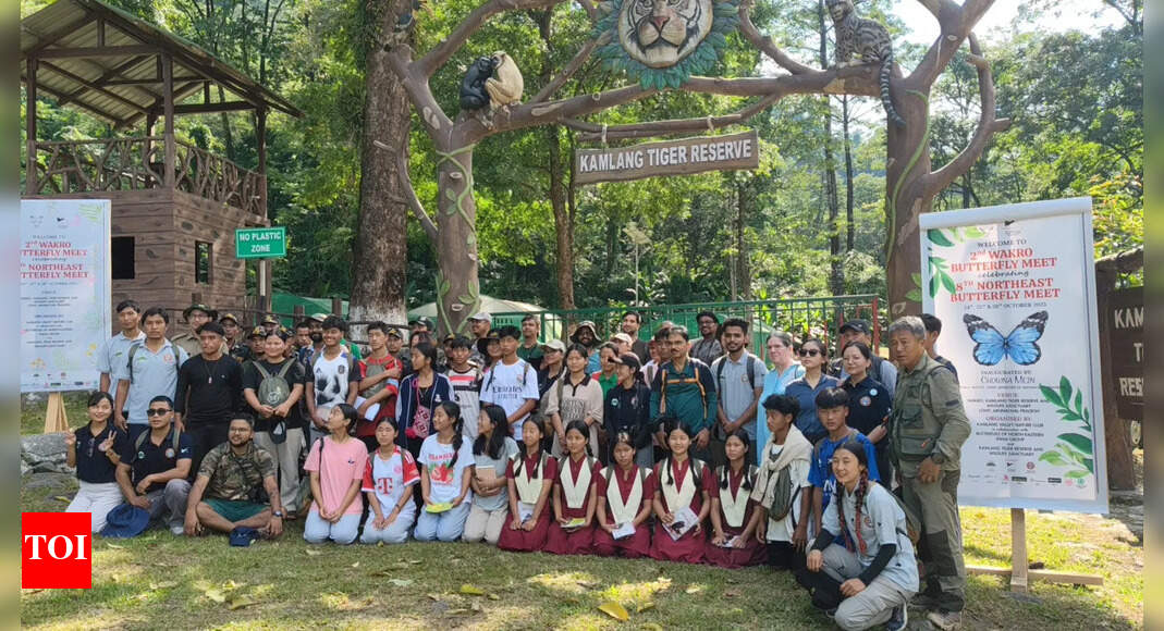 235 butterfly species recorded in Arunachal, 35 of them rare