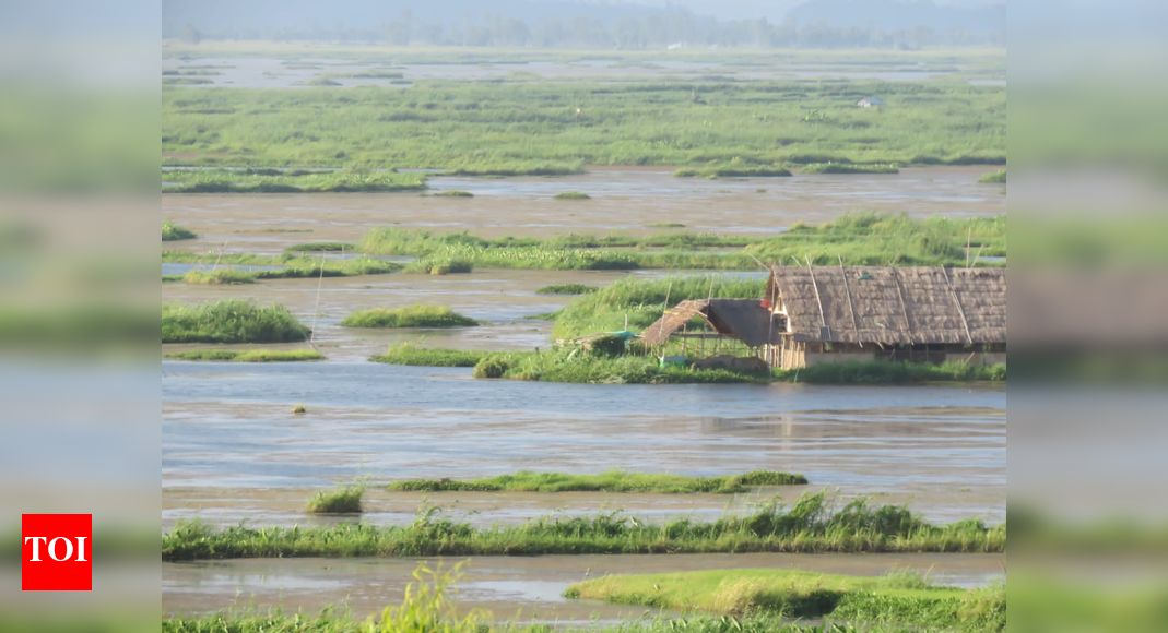 Nagaland University study flags degrading water quality in Loktak Lake
