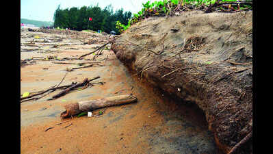 Natural methods can tame coastal erosion in Goa: Dutch agency