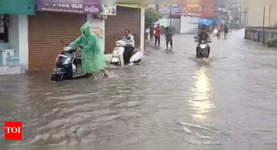 The Times of India - Other - News Image