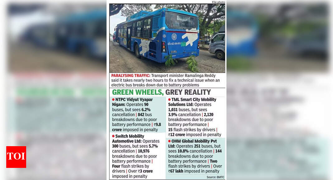 The Times of India - Business - News Image