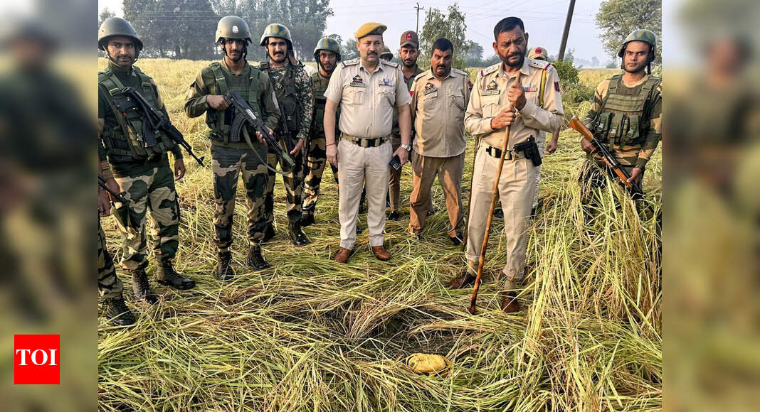 BSF seizes drugs dropped from Pak drones in Jammu