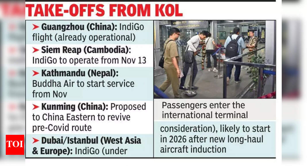 The Times of India - Business - News Image