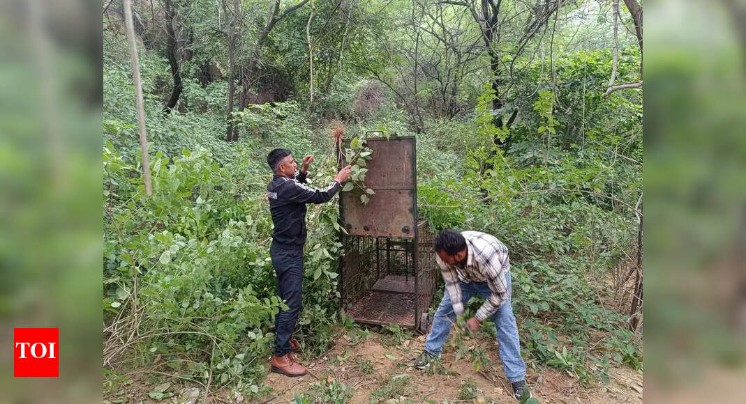 Abtak.com - Other - News Image