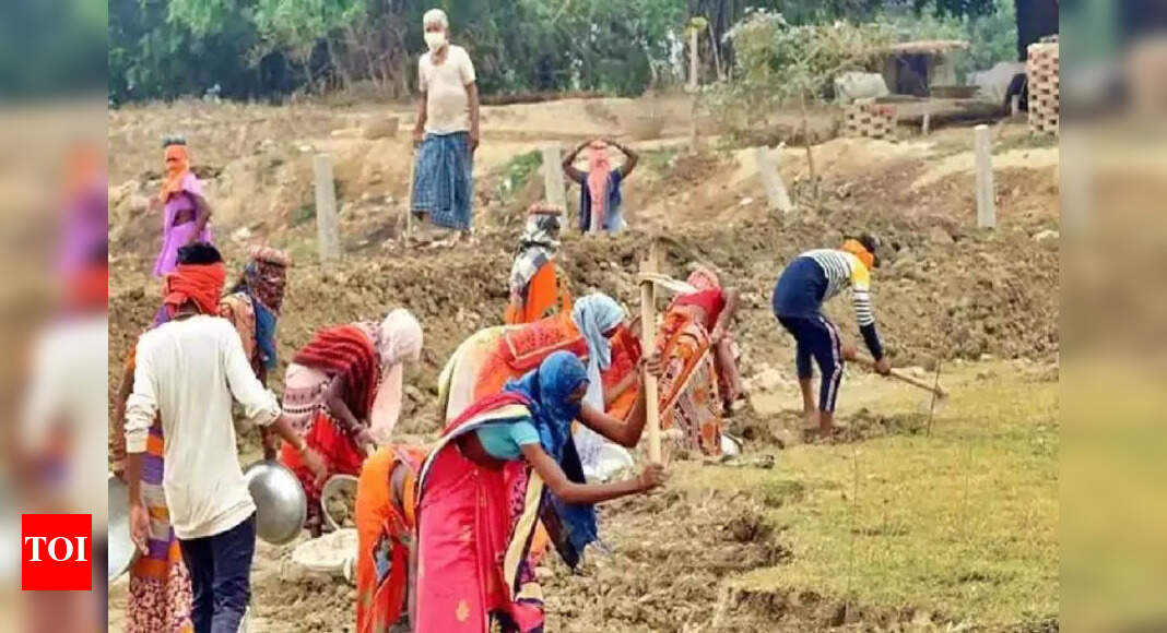 The Times of India - Politics - News Image