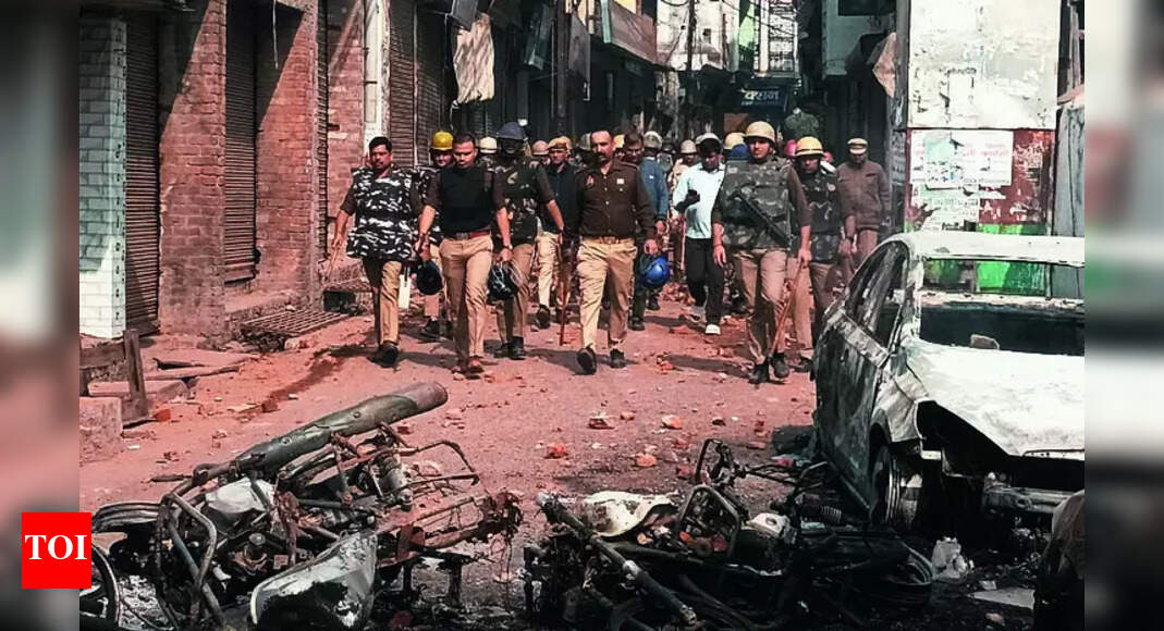 Sambhal violence: SC grants bail to 3 accused; challenged Allahabad HC order