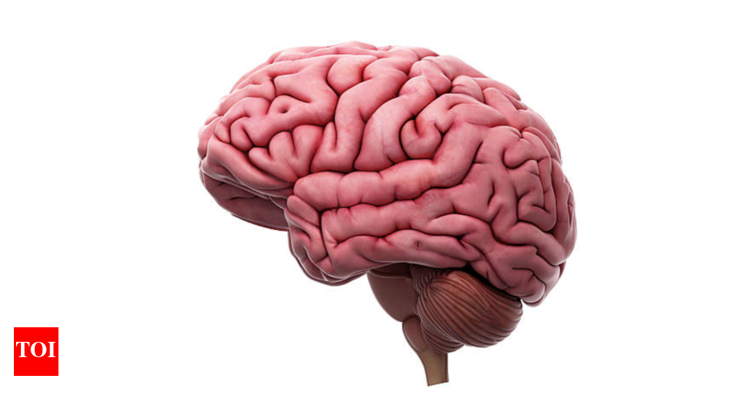 India’s silent stroke epidemic: Why our seniors need specialised care